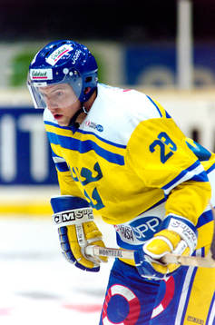 Mikael Renberg, Sverige