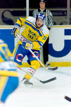 Mikael Renberg, Sverige