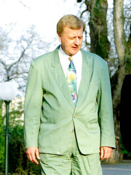 Ulf Jansson, Journalist