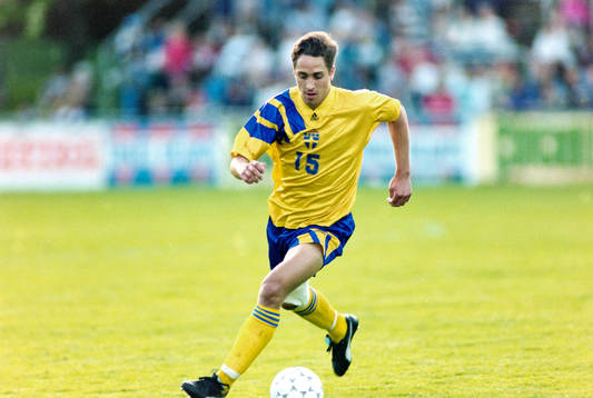 Magnus Powell, Sverige