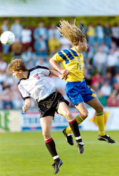 Henrik Larsson, Sverige