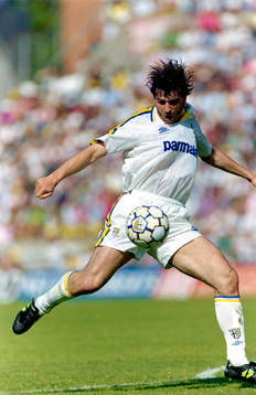 Melli, Parma