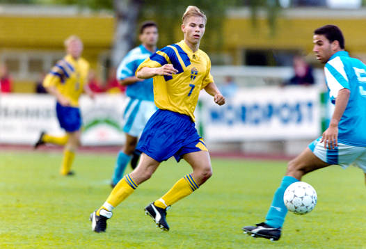 Niclas Alexandersson, Sverige