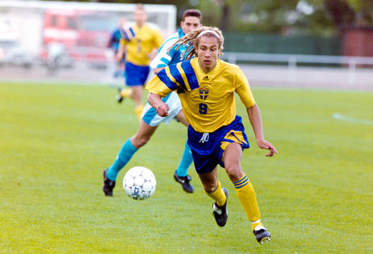 Henrik Larsson, Sverige
