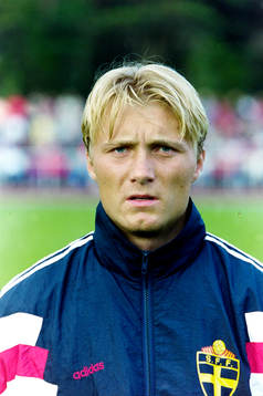 Magnus Johansson, Sverige