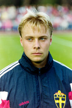 Anders Andersson, Sverige
