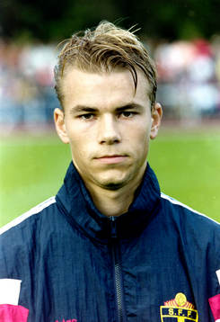 Niklas Alexandersson, Sverige