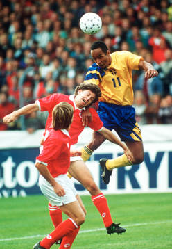 Martin Dahlin, Sverige