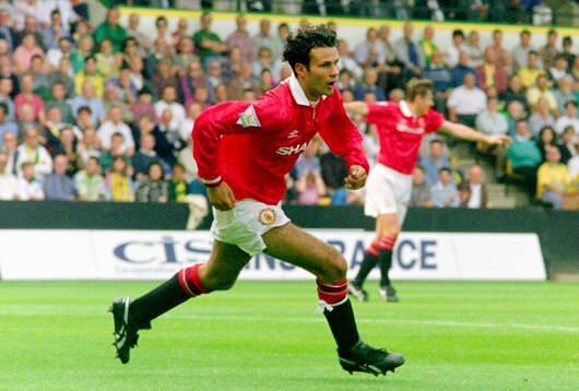 Football, English Premier League 1993-1994, Norwich -