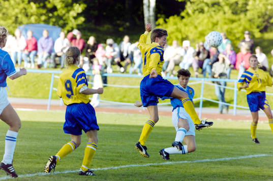 Lena Videkull, Sverige
