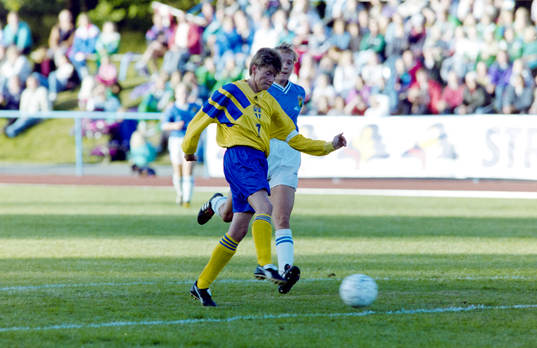 Lena Videkull, Sverige