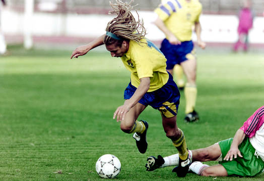 Henrik Larsson, Sverige