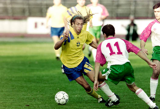 Henrik Larsson, Sverige
