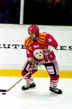 Bedrich Scerban, Brynäs