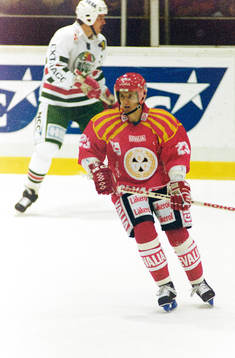 Branislav Janos, Brynäs
