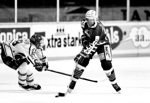 Roger Elevenes, Rögle