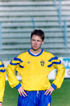 Jörgen Pettersson, Sverige