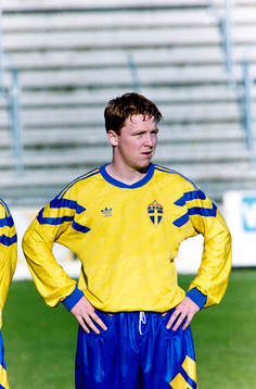 Jörgen Pettersson, Sverige