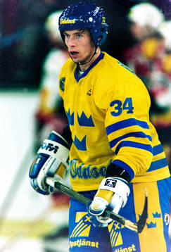 Roger Johansson, Sverige