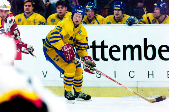 Stefan Elvenes, Sverige