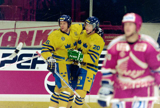Niklas Eriksson och Jörgen Jönsson, Sverige jublar
