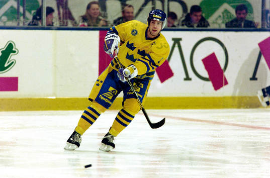 Roger Hansson, Sverige