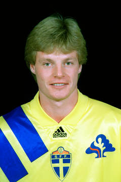 Stefan Schwarz, Sverige