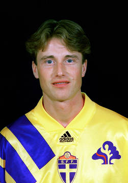 Roger Ljung, Sverige