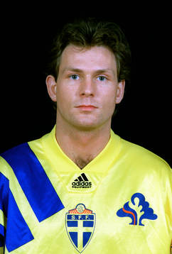 Pontus Kåmark, Sverige