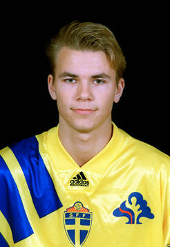 Niclas Alexandersson, Sverige
