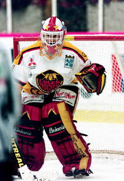 Robert Skoog, målvakt, Luleå