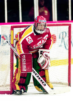 Henrik Arvsell, målvakt, Modo