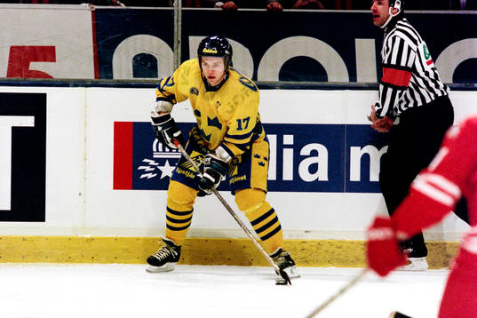 Daniel Rydmark, Sverige