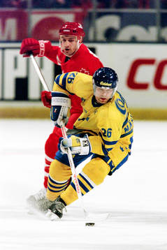 Mats Näslund, Sverige