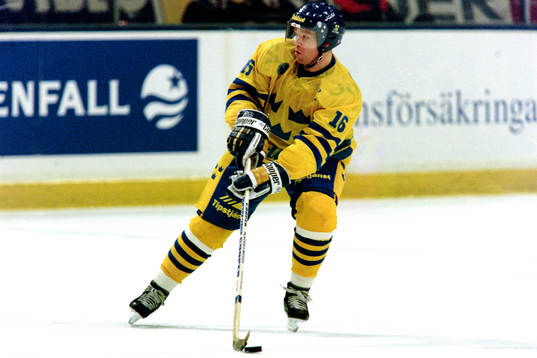 Niklas Eriksson, Sverige