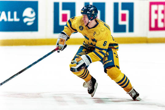 Magnus Svensson, Sverige