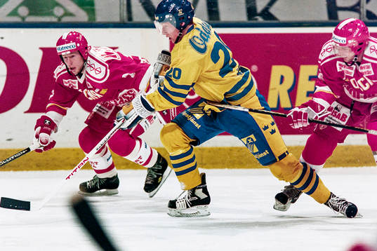 Jörgen Jönsson, Sverige