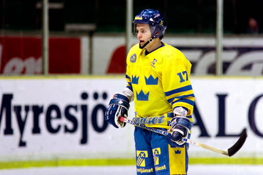 Daniel Rydmark, Sverige