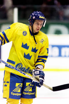 Daniel Rydmark, Sverige