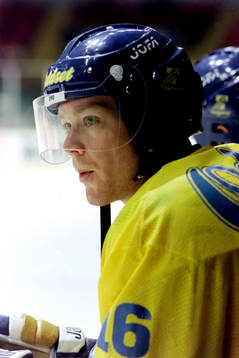 Niklas Eriksson, Sverige