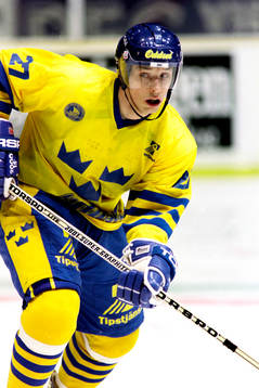 Patric Kjellberg, Sverige