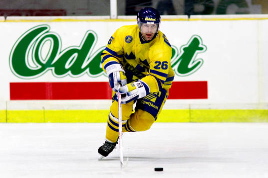 Mats Näslund, Sverige