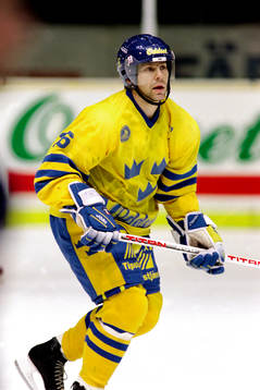 Mats Näslund, Sverige