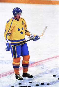 Peter Forsberg, Sverige