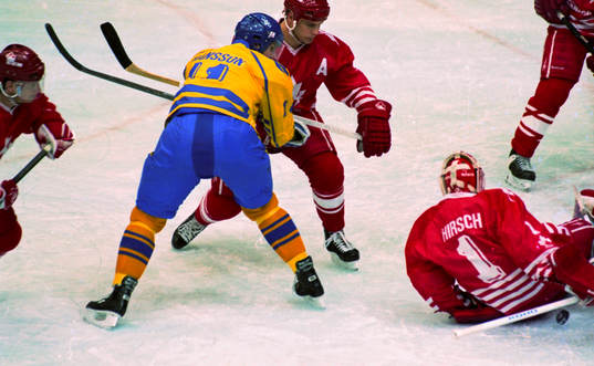 Roger Hansson, Sverige
