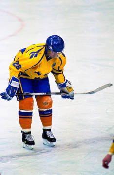 Mats Näslund, Sverige