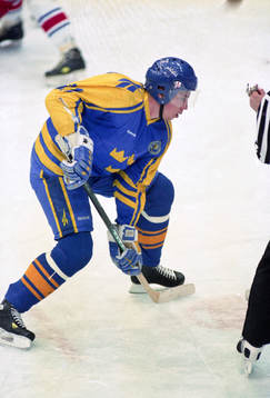 Peter Forsberg, Sverige