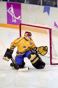 Tommy Salo, målvakt, Sverige