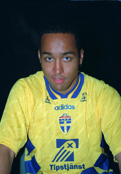 Martin Dahlin, Sverige