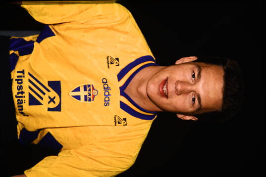 Fotboll, VM94, Sverige, Porträtt
